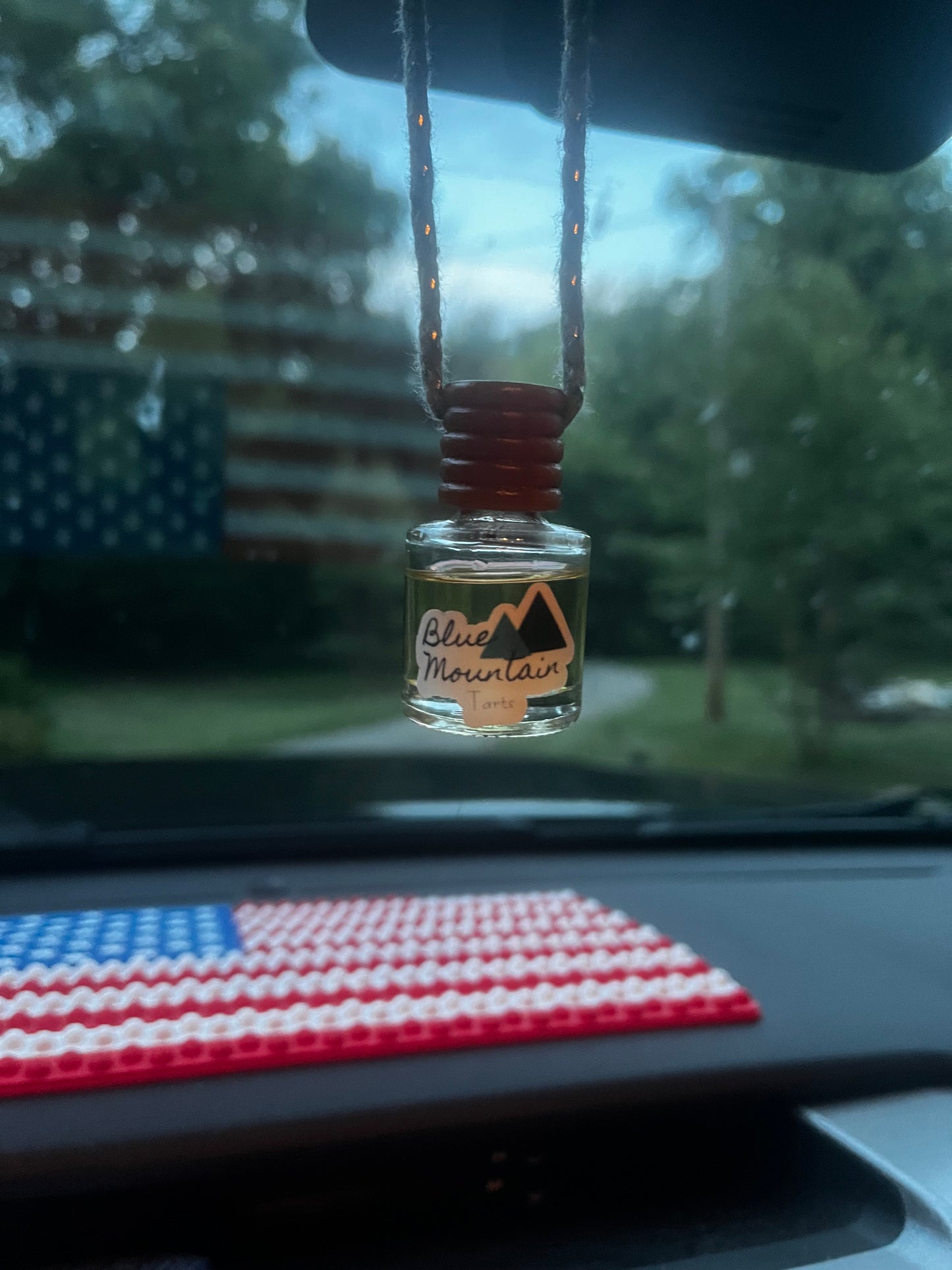 Hanging Car Oil Diffusers
