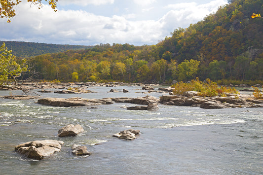 Shenandoah Riverbank