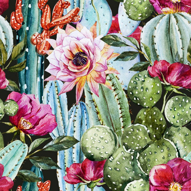 Baja Cactus Blossom