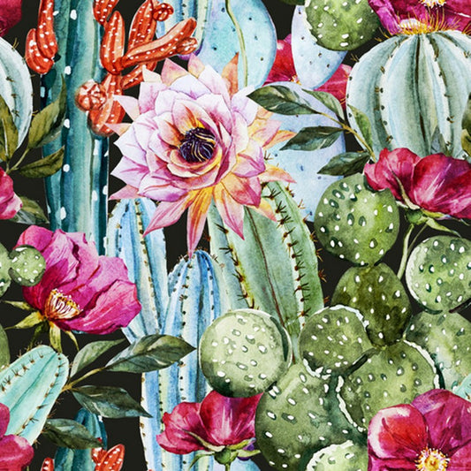 Baja Cactus Blossom