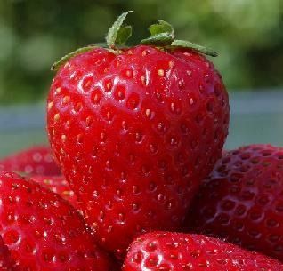 Strawberry
