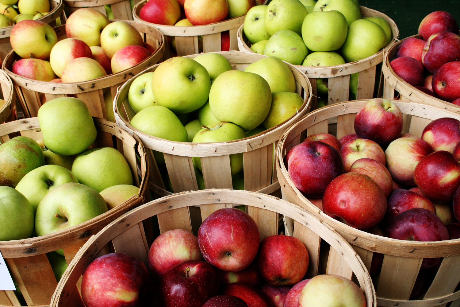 Apples & Pumpkins