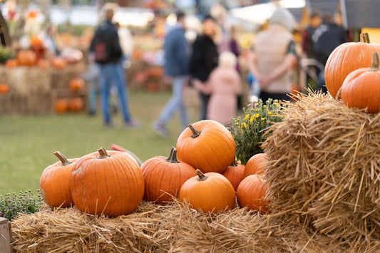 Fall Festival