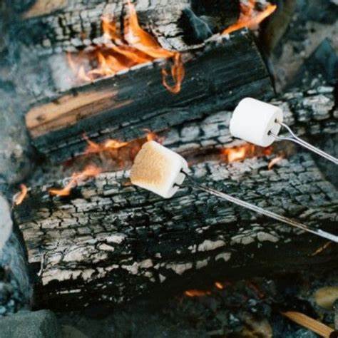 Fireside Marshmallow